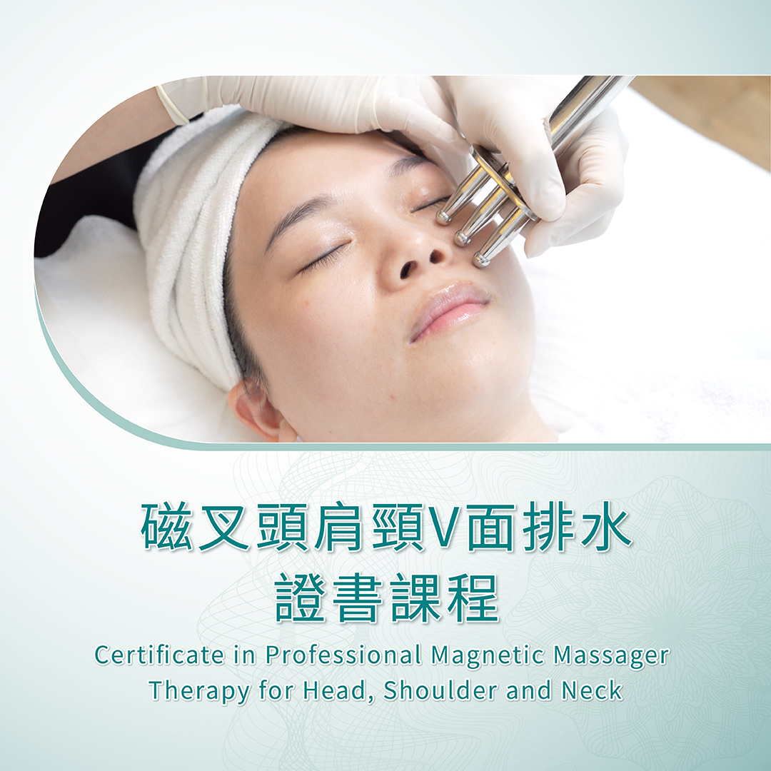 磁叉證書課程 - Dazzle Beauty Academy 炫美國際專業美容學院